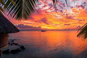 Livraison-DOM-TOM OCIBEL